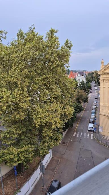 Lovely Old Town Apartment Bratislava Dış mekan fotoğraf